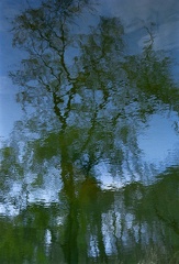 img0001
