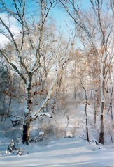 winter6